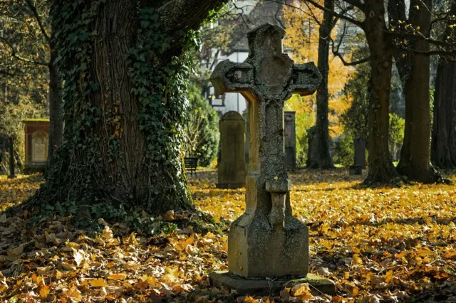 Locuitorii unui cartier din Arad, exasperați. Singurul „parc” unde se pot plimba este un cimitir. Decizia luată după ani de așteptare