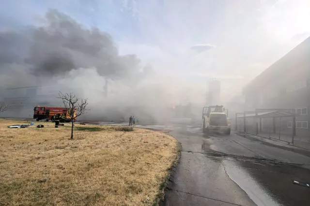Incendii devastatoare la periferia Drobeta‑Turnu Severin. O hală industrială a ars pe mii de metri pătrați, pompieri din 4 județe mobilizați la intervenție