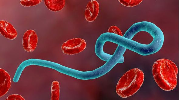 Epidemia de Ebola din Congo se extinde: peste 300 de cazuri 