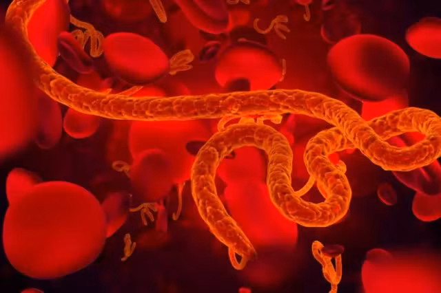 Epidemia de Ebola se extinde în RDC. OMS avertizează că amploarea reală ar putea fi mai mare decât datele oficiale