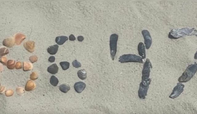 Fost director al FBI, pus sub acuzare pentru o postare online