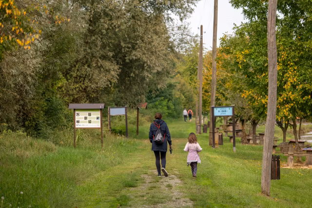 Câți pași trebuie să faci zilnic pentru a-ți menține greutatea ideală. Ce arată un nou studiu