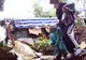 Povestea unei crime care a cutremurat Italia şi România