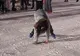 Zeci de bucureşteni au ieşit pe patinoar 
