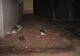 Parcare mizerabilă în Constanţa