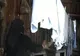 Credincioşii din Bistriţa-Năsăud nu spală haine până după Bobotează 