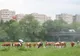 Autorităţile din Sfântu Gheorghe vor da cu prioritate locuinţe sociale persoanelor care vor să muncească