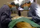 Clinicile veterinare din Timişoara au ambulanţe de urgenţă 