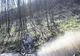 Dakar - Romeo Duicu a ocupat locul 63 în etapa a 5-a şi se află pe poziţia 67 în clasamentul general 