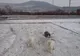 Rătăciţi în gară