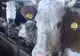 Ministerul Agriculturii are de plătit peste 410 milioane lei fermierilor