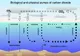 Încălzirea globală s-ar putea accelera, întrucât oceanele absorb mai puţin CO2