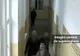 Elevul care a agresat un coleg cu un cuţit a fost exmatriculat 
