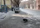 Semnele de circulaţie
