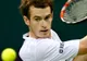 Murray: "Pavel este un tenisman talentat"