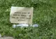 O idee interesantă pentru promovarea curățeniei