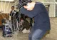 Japonezii au testat robotul care prinde hoţii într-o plasă