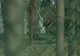 Un fost deţinut al Guantanamo, eliberat în 2007 a redevenit membru al reţelei Al-Qaida