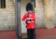 Un soldat din Garda Regală Britanică a pălmuit un turist care l-a scos din sărite
