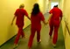 Campania "Român pe patul de spital"  - Topul mitei în sistemul sanitar 