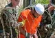 Dick Marty: "România ar trebui să primească deţinuţi de la Guantanamo"
