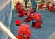 Patru mari organizaţii pentru drepturile omului îi cer lui Obama să le permită accesul la Guantanamo