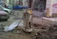 Aşa arată strada strada Lipscani