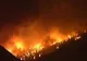 Autorităţile elene taie pinii din jurul templului antic Delfi, pentru a preveni incendiile
