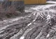 Strada Plopii Fără soţ din Iaşi