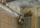 60 de bolnavi trăiesc în condiţii mizere la Spitalul Judeţului Mehedinţi 