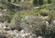 Un spaţi verde amenajat de primăria sectorului 4 a devenit loc de dormit pentru câinii maidanezi