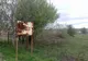 Indicatorul care semnalează intrarea în localitatea Ciuta, jud.Caraş - Severin, a ruginit