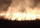 Pe dealul Viilor din Lugoj au ars sâmbătă seară peste 15 hectare de vie 