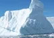 Un vierme din Antarctica rămâne în viaţă producând antigel