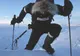Calotele glaciare din Arctica vor fi măsurate