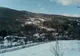 Defrișare în masă