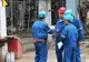Angajaţii golesc vistieria Petrom de zeci de milioane de euro pentru miei şi porci