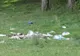 În Oradea va funcţiona, de la 1 martie, Poliţia Ecologică