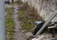 Aşa arată o stradă circulată din Ploieşti