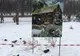 Letonii au aruncat cu ghetele într-un panou cu imaginea parlamentului. VEZI VIDEO
