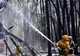 Temperaturile înalte şi vântul vor înrăutăţi incendiile din Australia
