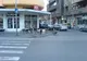 Maidanezii din Ploiești