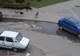 Maidanezii din Bacău