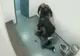 Un ajutor de şerif a lovit cu sălbăticie o tânără arestată 