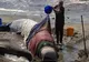 60 de balene şi delfini au eşuat pe o plajă din Australia 