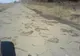 Drumul ce leagă jud. Vaslui de jud. Iaşi arată ca după bombardament