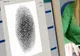 Paşapoartele biometrice s-au întos miercuri în plenul Senatului