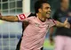 Fiorentina a fost învinsă de Palermo în etapa a 27-a din Serie A