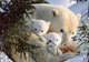 Primii paşi prin zăpadă a unor pui de urs polar - GALERIE FOTO