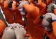 Prizonierii de la Guantanamo sunt mândri de atentatele din 11 septembrie 2001